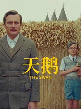 久久久久中文字幕